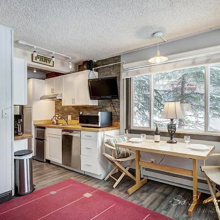 Park Meadows Lodge Unit 4A
